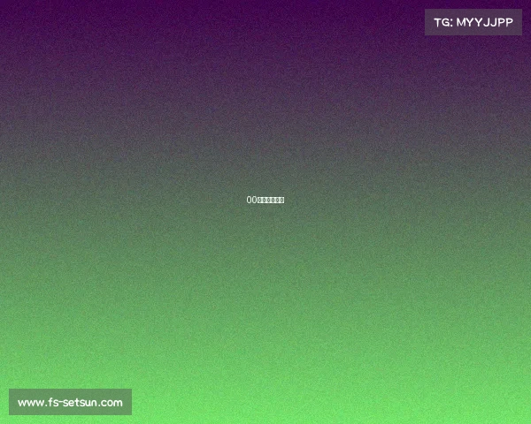 00后的电脑游戏